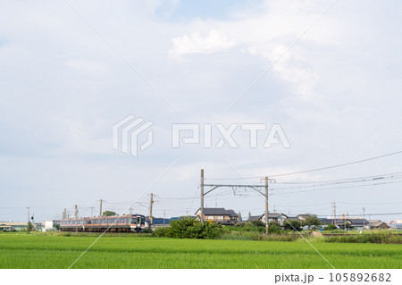 【関西本線】白鳥信号所を発車する快速みえ 105892682