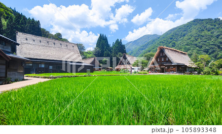 夏の五箇山・菅沼合掌造り集落 105893348