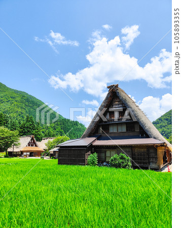 夏の五箇山・菅沼合掌造り集落 105893355