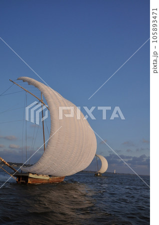 霞ヶ浦観光帆引き船 105893471