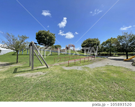 青空の下、大きな木のある公園　おおね公園　神奈川県秦野市 105893520