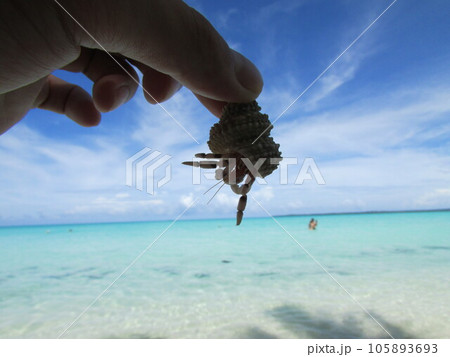クック諸島 クック諸島 105893693