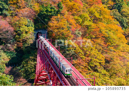 秋の黒部峡谷:新山彦橋を走るトロッコ電車 秋の黒部峡谷:新山彦橋を走るトロッコ電車 105893735