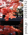 光が差し込む東福寺の紅葉 105893742