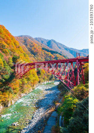 秋の黒部峡谷（黒部川と新山彦橋） 105893760