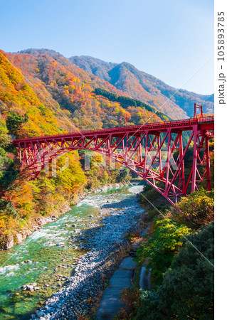秋の黒部峡谷（黒部川と新山彦橋） 105893785