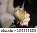 焼き草餅を食べている人の手元 105893833