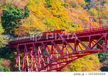 秋の黒部峡谷：新山彦橋を走るトロッコ電車 105893884