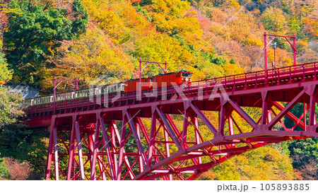 秋の黒部峡谷：新山彦橋を走るトロッコ電車 105893885