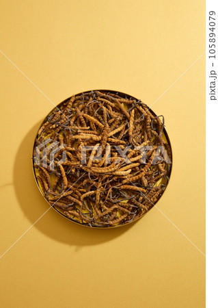 Top view, flat lay of cordyceps on round plate isolated on dark beige background. Minimal scene for commercial advertising. Cordyceps is a type of fungus that grows on the larva of caterpillars Top view, flat lay of cordyceps on round plate isolated on dark beige background. Minimal scene for commercial advertising. Cordyceps is a type of fungus that grows on the larva of caterpillars 105894079