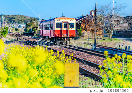 早春の小湊鉄道 菜の花の咲く海士有木駅 早春の小湊鉄道 菜の花の咲く海士有木駅 105894366