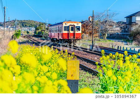 早春の小湊鉄道　菜の花の咲く海士有木駅 105894367