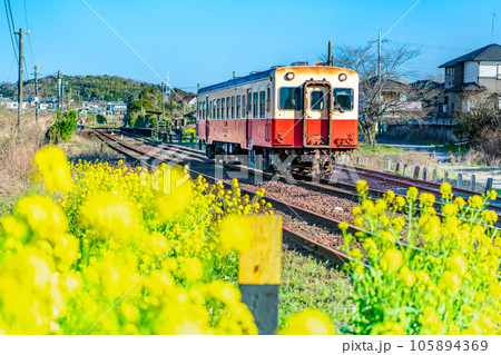 早春の小湊鉄道 菜の花の咲く海士有木駅の写真素材 [105894369] - PIXTA