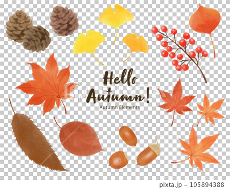 秋の植物のイラストのセット　Hello Autumn 105894388