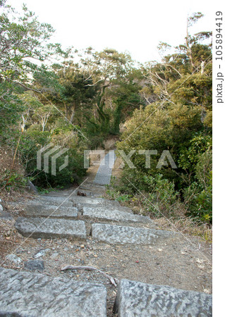 海へと続く道 105894419