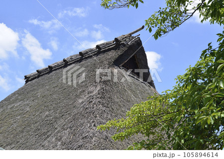 法華寺　光月亭の茅葺の屋根　奈良市法華寺町 105894614