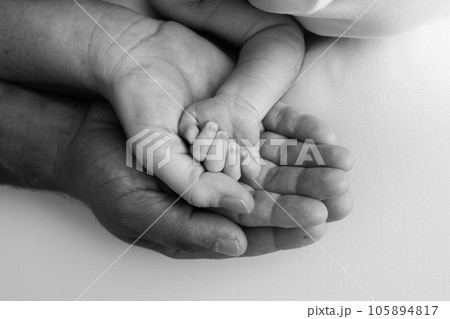 Three palms of a happy family. Small newborn hand with tiny fingers. The palm of parents, father and mother holds the handle of a newborn. Studio macro shot, black and white photo. 105894817