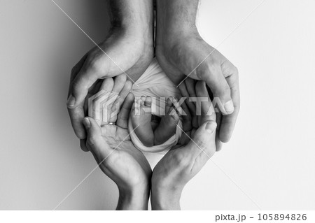 The palms of the father, the mother are holding the foot of the newborn baby. Feet of the newborn on the palms of the parents. Photography of a child's toes, heels and feet. Black and white macro. The palms of the father, the mother are holding the foot of the newborn baby. Feet of the newborn on the palms of the parents. Photography of a child's toes, heels and feet. Black and white macro. 105894826