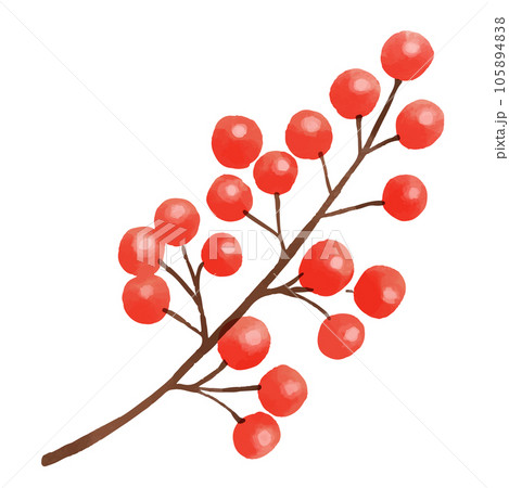 赤い実ついた枝のイラストのイラスト素材 [105894838] - PIXTA