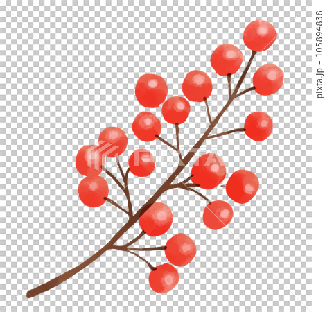 紅色漿果樹枝的插圖 紅色漿果樹枝的插圖 105894838