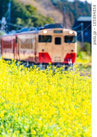 早春の小湊鉄道 菜の花と気動車 ～月崎駅付近～の写真素材 [105894858] - PIXTA