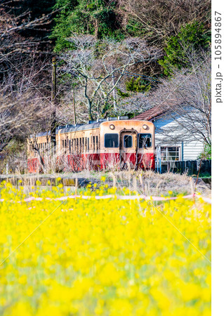 早春の小湊鉄道 菜の花と気動車 ~月崎駅~ 早春の小湊鉄道 菜の花と気動車 ~月崎駅~ 105894867