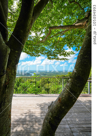 夏晴れの横山展望台 夏晴れの横山展望台 105894993