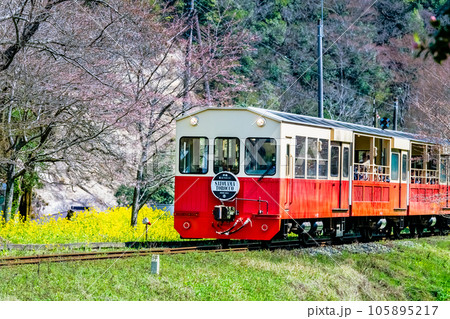 早春の小湊鉄道 菜の花と里山トロッコ ～上総大久保駅～の写真素材 [105895217] - PIXTA