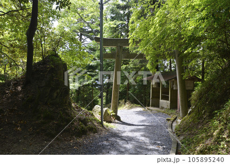 比叡山延暦寺　無動寺谷　参道の鳥居　滋賀県大津市坂本 105895240