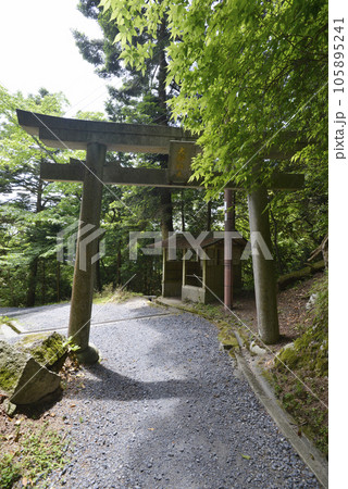 比叡山延暦寺 無動寺谷 参道の鳥居 滋賀県大津市坂本 比叡山延暦寺 無動寺谷 参道の鳥居 滋賀県大津市坂本 105895241