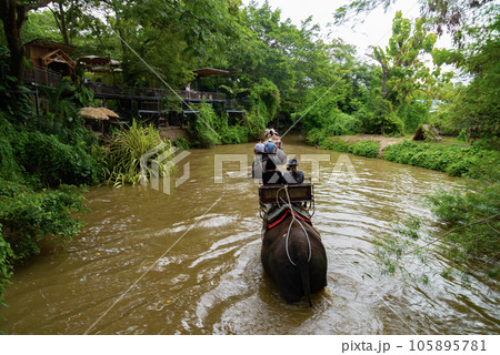 ゾウ乗り体験ジャングルを行く ゾウ乗り体験ジャングルを行く 105895781