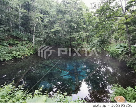 道東 清里町 神の子池 道東 清里町 神の子池 105895856
