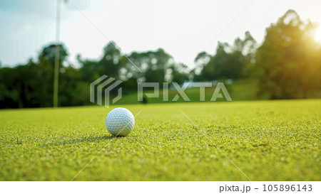 Golf ball on green grass in the evening golf course with sunshine background. Golf ball on green grass in the evening golf course with sunshine background. 105896143