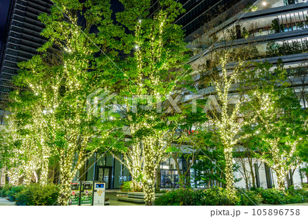 【東京の都市風景】竹芝周辺の夜景 【東京の都市風景】竹芝周辺の夜景 105896758