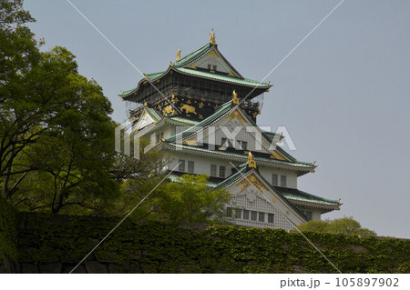 新緑の大阪城 105897902