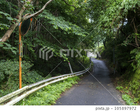 樹木に覆われた山道の風景 105897972