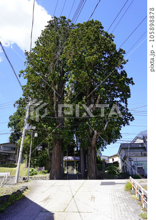 杉野沢薬師 ～新潟県妙高市～ 105898878