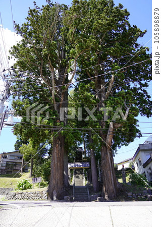 杉野沢薬師 ~新潟県妙高市~ 杉野沢薬師 ~新潟県妙高市~ 105898879