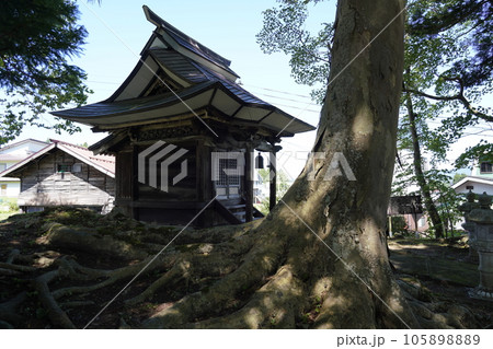 杉野沢薬師 ~新潟県妙高市~ 杉野沢薬師 ~新潟県妙高市~ 105898889