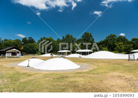 越後丘陵公園　ふわふわドームでジャンプ　夏晴れの青空　新潟県長岡市 105899093