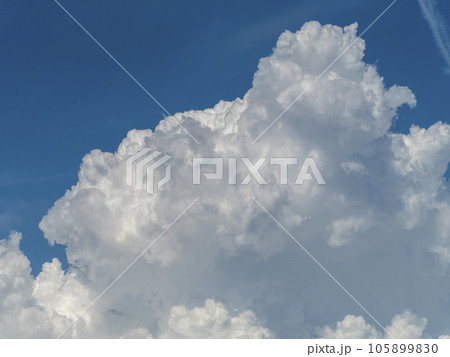 真夏の青空に広がる積乱雲 真夏の青空に広がる積乱雲 105899830