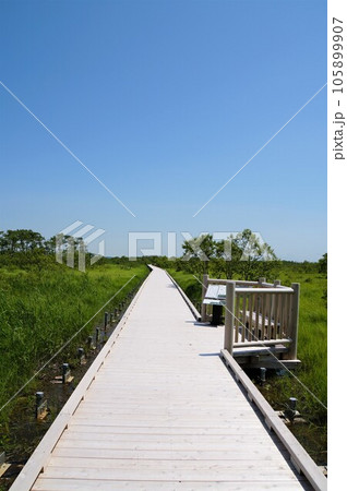 快晴の釧路湿原　温根内木道 105899907