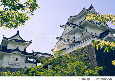 日本100名城・伊賀上野城 日本100名城・伊賀上野城 105900550