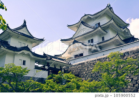 日本100名城・伊賀上野城 105900552