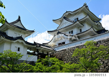 日本100名城・伊賀上野城 日本100名城・伊賀上野城 105900553