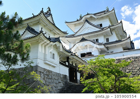 日本100名城・伊賀上野城 日本100名城・伊賀上野城 105900554