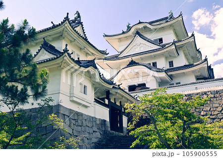 日本100名城・伊賀上野城 105900555