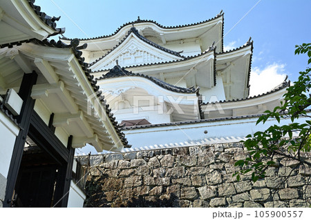 日本100名城・伊賀上野城 105900557