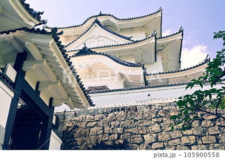 日本100名城・伊賀上野城 日本100名城・伊賀上野城 105900558