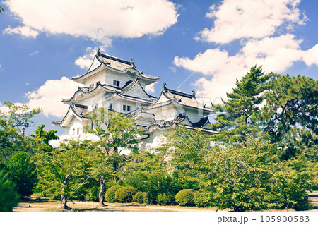 日本100名城・伊賀上野城 日本100名城・伊賀上野城 105900583